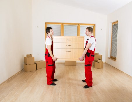 Professional packing and labelling for an office relocation in Tufnell Park